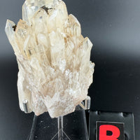 Kundalini Citrine-Earth Fairy Holistics