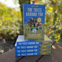 The Trees Around You-Earth Fairy Holistics