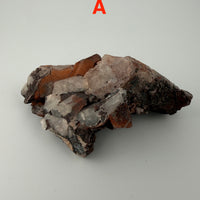 Fire Quartz with Hematite Specimens-Earth Fairy Holistics