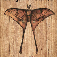 Conjure Cards: Fortune-Telling Card Deck and Guidebook-Earth Fairy Holistics