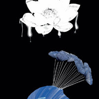 Sacred Web Tarot, The: Jannie Bui Brown-Earth Fairy Holistics