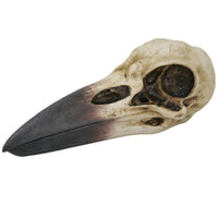 Raven Skull Box-Earth Fairy Holistics