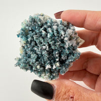 Chalcedony (w/Copper/Chrysocolla & Malachite Incl) Botryoidal Specimens