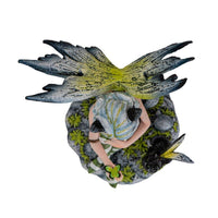 Fairy with Black Cat-Earth Fairy Holistics