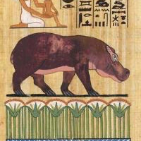 Egyptian Sacred Animals Oracle