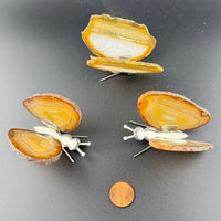 Agate Butterfly-Earth Fairy Holistics