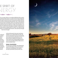 Book of Chakra Healing by Liz Simpson-Earth Fairy Holistics