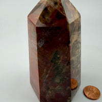 Petrified Wood Towers-Earth Fairy Holistics