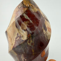 Petrified Wood Flames-Earth Fairy Holistics