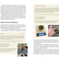 Medicinal Plants of the Pacific Northwest-Earth Fairy Holistics