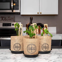 Herb Garden Starter Kit-Earth Fairy Holistics