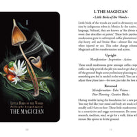 Midnight Magic by Sara Richard-Earth Fairy Holistics