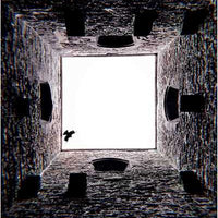 Druid Wisdom by Andres Engracia-Earth Fairy Holistics