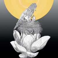 Sacred Web Tarot, The: Jannie Bui Brown-Earth Fairy Holistics