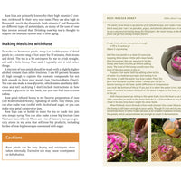 Medicinal Plants of the Pacific Northwest-Earth Fairy Holistics