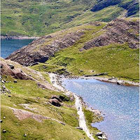 Druid Wisdom by Andres Engracia-Earth Fairy Holistics