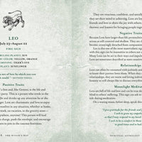 Witch's Way by Shawn Robbins-Earth Fairy Holistics