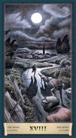 Dark Grimoire Tarot-Earth Fairy Holistics