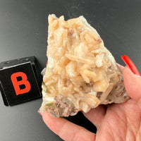Apophyllite Mixed Specimens