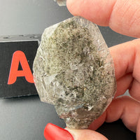 Garden Quartz/Lense Free Forms-Earth Fairy Holistics