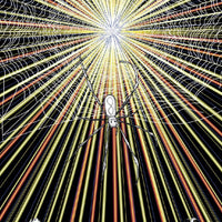 Sacred Web Tarot, The: Jannie Bui Brown-Earth Fairy Holistics
