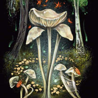 Midnight Magic by Sara Richard-Earth Fairy Holistics