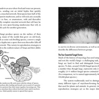 Mycocultural Revolution: Transforming Our World with Fungi-Earth Fairy Holistics