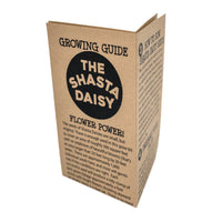 Shasta Daisy | Flower Seed Grow Kit-Earth Fairy Holistics