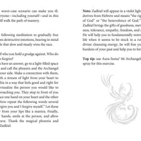 Oracle of the Phoenix by Christine Arana Fader-Earth Fairy Holistics