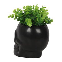 Black Ceramic Skull Planter-Earth Fairy Holistics