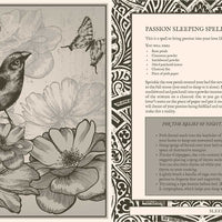 Lost Book of Spells by Fiona Horne-Earth Fairy Holistics