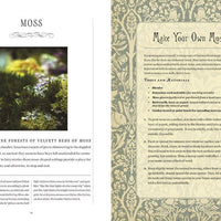 Faerie Handbook, The: The Editors of Faerie Magazine-Earth Fairy Holistics