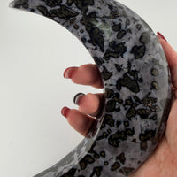 Indigo Gabbro Crescent Moons-Earth Fairy Holistics