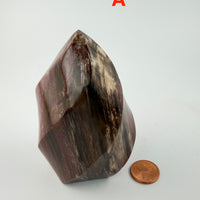 Petrified Wood Flames-Earth Fairy Holistics
