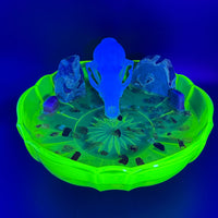 Foxfire Glow (UV Reactive)