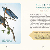 Spiritual Meaning of Birds Oracle Deck by Arin Murphy-Hiscock-Earth Fairy Holistics