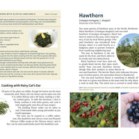 Edible Plants of the Pacific Northwest-Earth Fairy Holistics