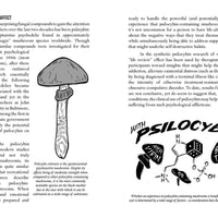 Mycocultural Revolution: Transforming Our World with Fungi-Earth Fairy Holistics