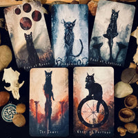 Haunted Cat Tarot - J Edward Neill-Earth Fairy Holistics