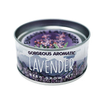 Lavender | Flower Seed Grow Kit-Earth Fairy Holistics