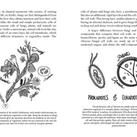 Mycocultural Revolution: Transforming Our World with Fungi-Earth Fairy Holistics