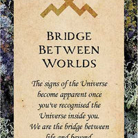 Druid Wisdom by Andres Engracia-Earth Fairy Holistics