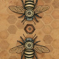Bee Tarot