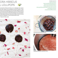 Herbs and Crystals DIY: Plant Medicine and Crystal Energy-Earth Fairy Holistics