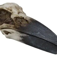 Raven Skull Box-Earth Fairy Holistics