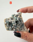 Chalcedony (w/Copper/Chrysocolla & Malachite Incl) Botryoidal Specimens-Earth Fairy Holistics