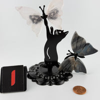 Cat with Butterfly Wings