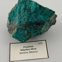 Dioptase Specimen-Earth Fairy Holistics