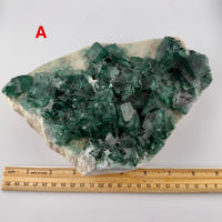 Fluorite Cube Specimen Formations (Large)-Earth Fairy Holistics