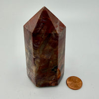 Petrified Wood Towers-Earth Fairy Holistics